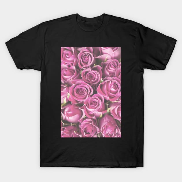 Pale Pink Roses Photo T-Shirt by Claireandrewss